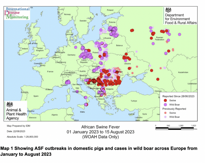 APHA ASF Europe map Aug 23